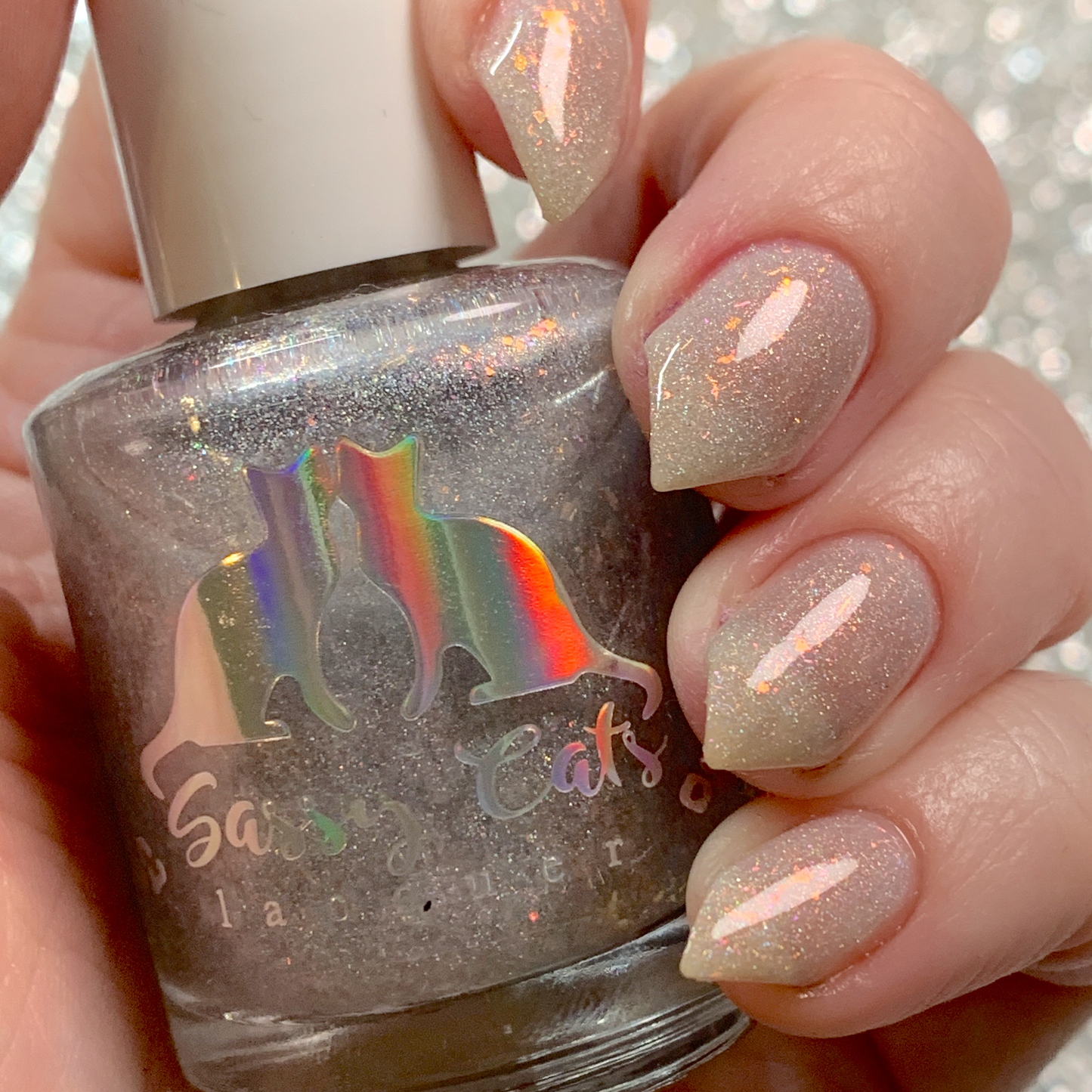 OVERSTOCK - Sassy Cats Lacquer - Buzzworthy