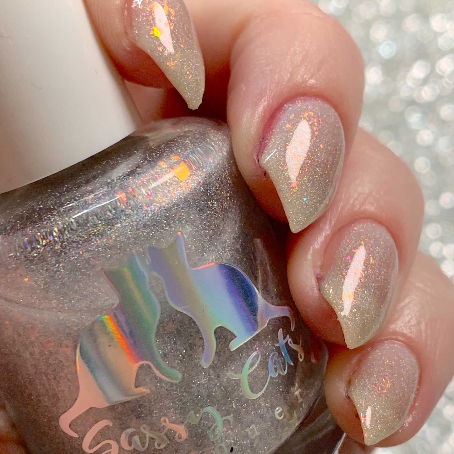 OVERSTOCK - Sassy Cats Lacquer - Buzzworthy