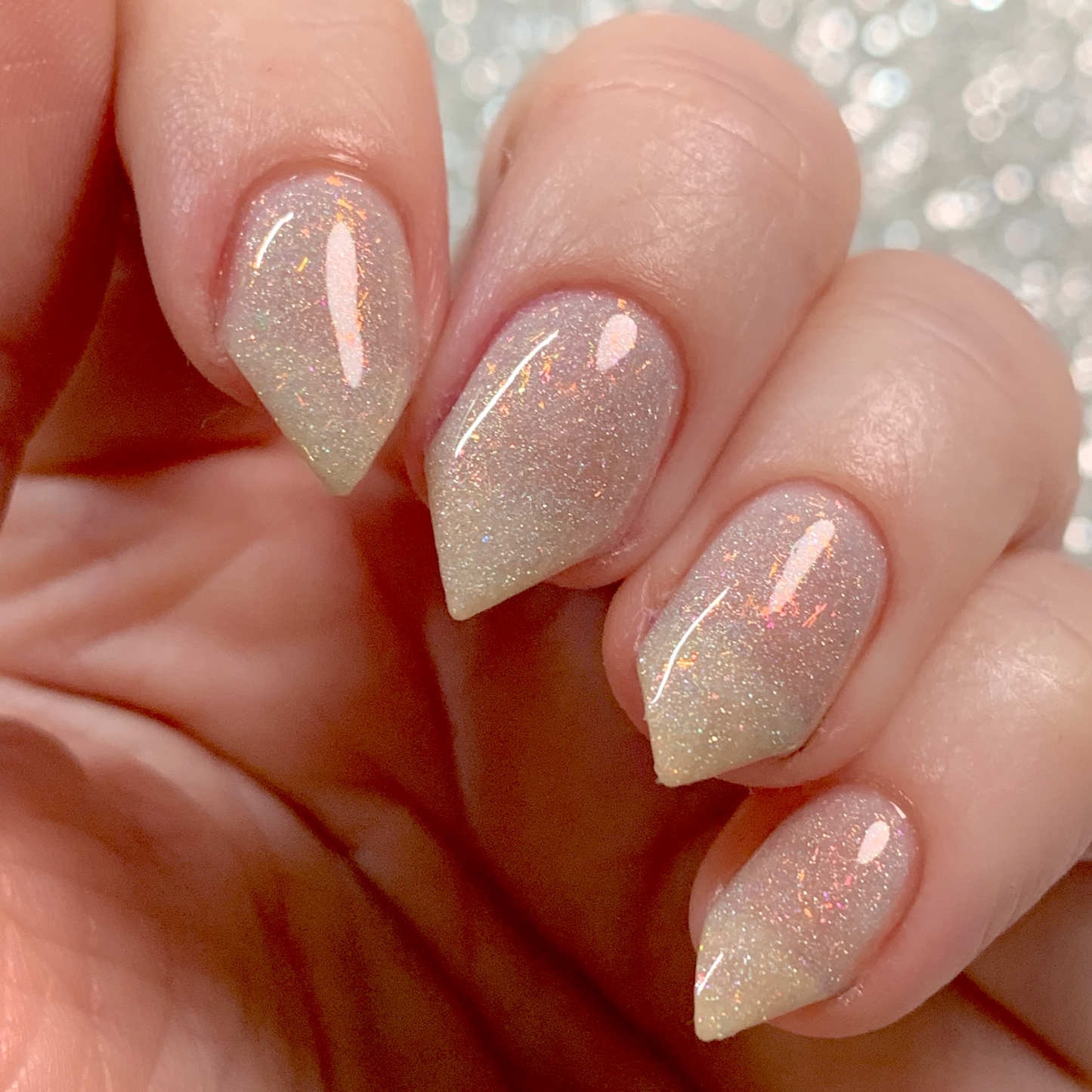 OVERSTOCK - Sassy Cats Lacquer - Buzzworthy