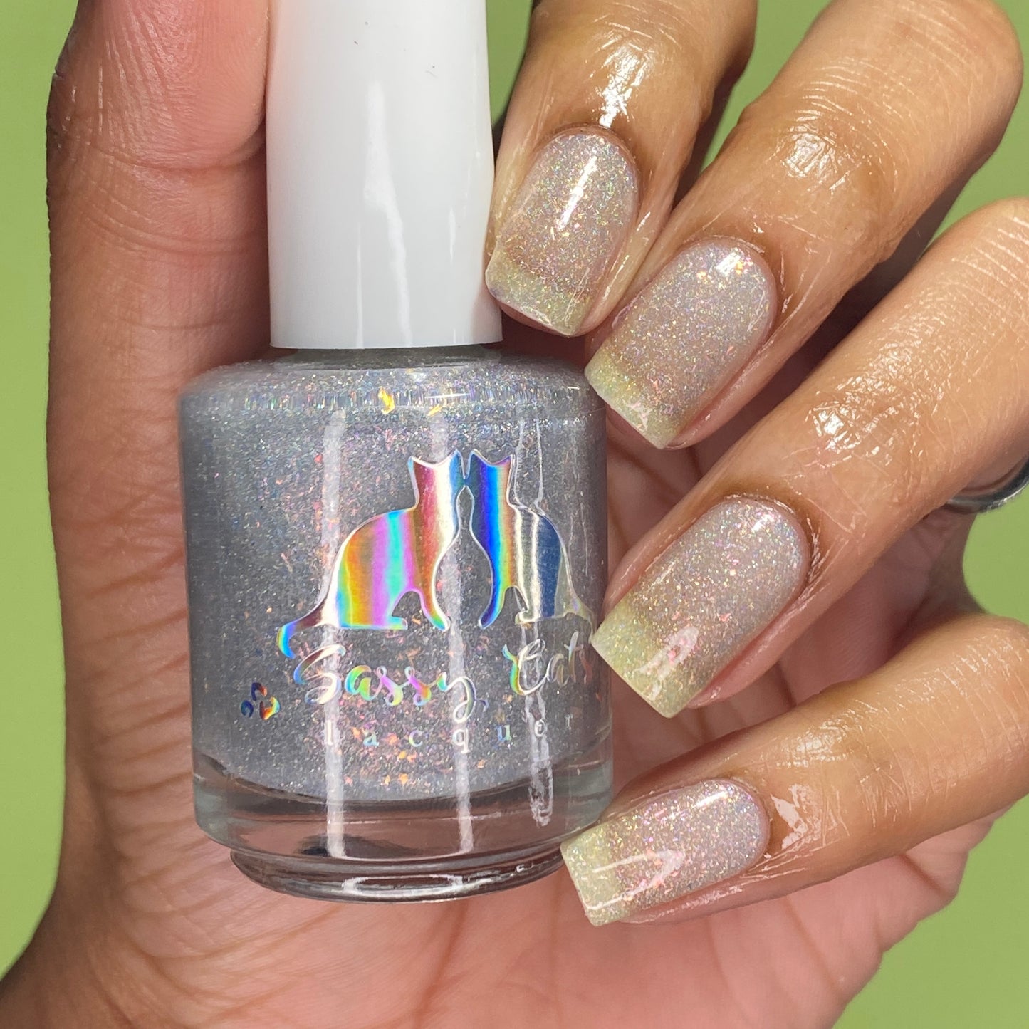 OVERSTOCK - Sassy Cats Lacquer - Buzzworthy